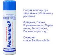 Без названия (71)