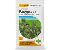 rakurs_dlia_hvoinih_avgust