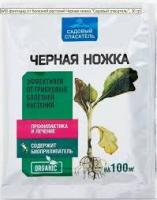 Без названия (69)